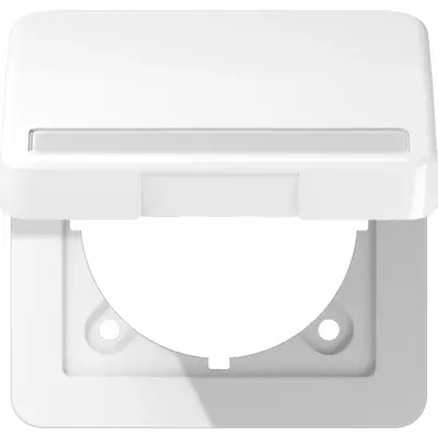 JUNG Afdekraam 1v Horizontaal en ve (CD 590 BFNAKL WW)