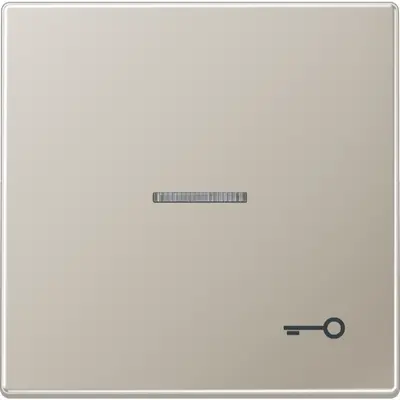 JUNG schakelwip met sleutelsymbool en controlevenster LS990 edelstaal (ES 2990 KO5 T)