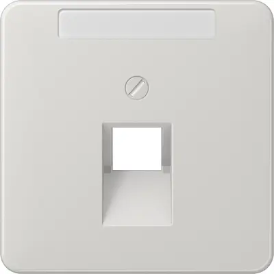 JUNG centraalplaat 1-voudig met tekstvenster tbv RJ45 wandcontactdoos CD500 lichtgrijs (CD 569-1 NAUA LG)