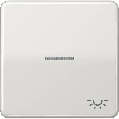 JUNG schakelwip met lichtsymbool en controlevenster CD500 lichtgrijs (CD 590 KO5L LG)
