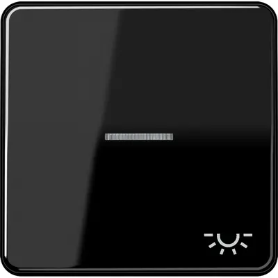 JUNG schakelwip met lichtsymbool en controlevenster CD500 zwart glans (CD 590 KO5L SW)