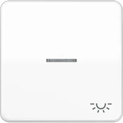 JUNG schakelwip met controlevenster met lichtsymbool CD500 alpine wit (CD 590 KO5L WW)