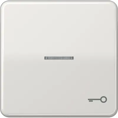 JUNG schakelwip met sleutelsymbool en controlevenster CD500 lichtgrijs (CD 590 KO5T LG)