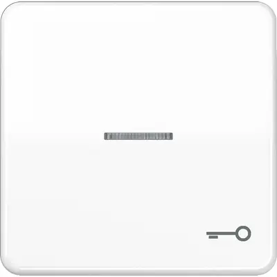 JUNG schakelwip met sleutelsymbool en controlevenster CD500 alpine wit (CD 590 KO5T WW)