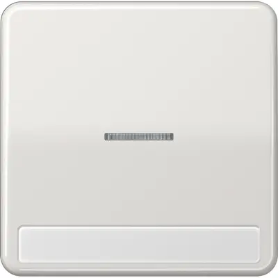 JUNG schakelwip met controlevenster en tekstvenster CD500 lichtgrijs (CD 590 NAKO5 LG)