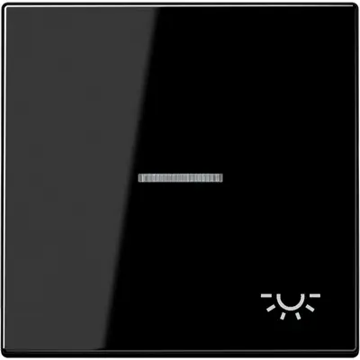 JUNG schakelwip met lichtsymbool en controlevenster LS990 zwart glans (LS 990 KO5 L SW)