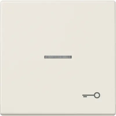 JUNG schakelwip met sleutelsymbool en controlevenster LS990 creme (LS 990 KO5 T)