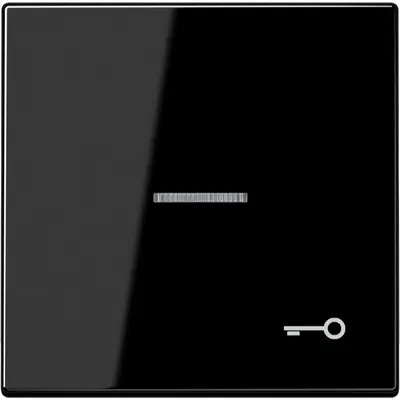 JUNG schakelwip met sleutelsymbool en controlevenster LS990 zwart glans (LS 990 KO5 T SW)