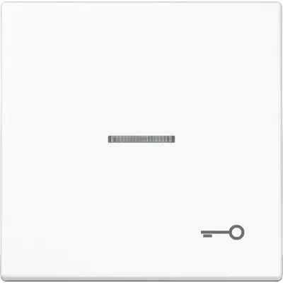 JUNG schakelwip met sleutelsymbool en controlevenster LS990 alpine wit (LS 990 KO5 T WW)