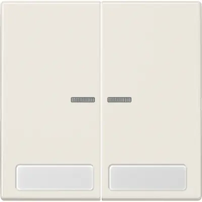 JUNG schakelwip 2-voudig met controlevenster en tekstvenster LS990 creme (LS 995 NA KO5)