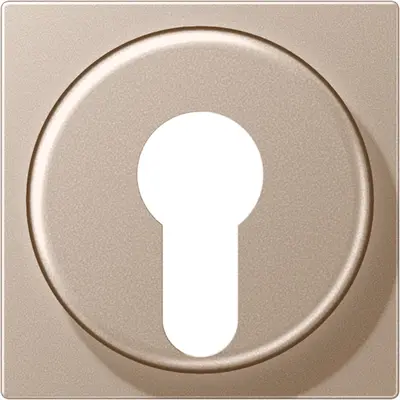 JUNG sleutel centraalplaat tbv jaloezie-sleutelschakelaar A-range champagne (A 528 PL CH)