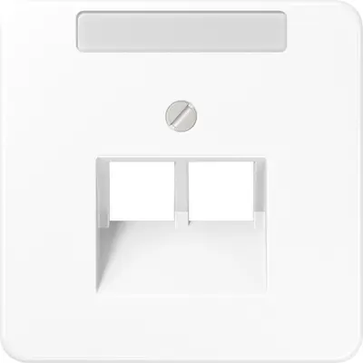 JUNG centraalplaat 2-voudig met tekstvenster tbv RJ45 wandcontactdoos CD500 alpine wit (CD 569-2 NAUA WW)