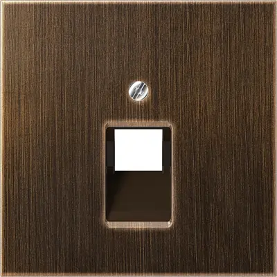 JUNG centraalplaat 1-voudig tbv RJ45 wandcontactdoos LS990 messing antiek (ME 2969-1 UA AT)