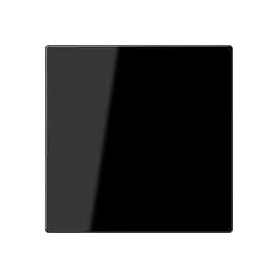 JUNG Overig Zwart (A 594-0 PL SW)