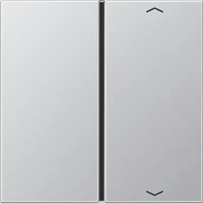 JUNG Enkele drukker Overig Aluminiu (AL 2401 TSAP)