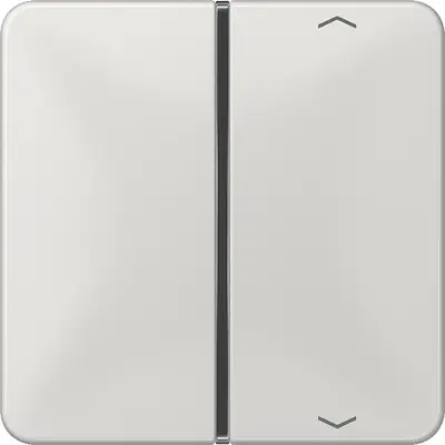 JUNG Enkele drukker Overig Grijs (CD 401 TSAP LG)