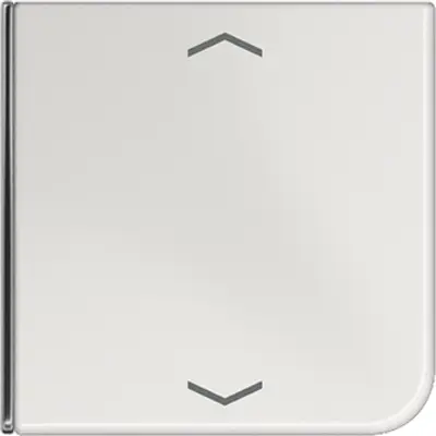 JUNG Enkele drukker Overig Grijs (CD 404 TSAP LG 14)
