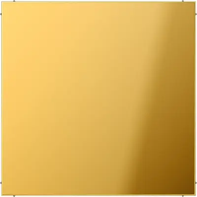 JUNG centraalplaat blinddeksel incl. draagframe LS990 goudkleurig (GO 2994 B)