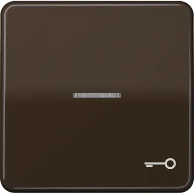 JUNG schakelwip met sleutelsymbool en controlevenster CD500 bruin (CD 590 KO5T BR)