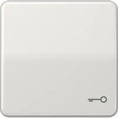 JUNG schakelwip met sleutelsymbool CD500 lichtgrijs (CD 590 T LG)