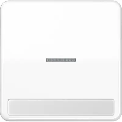 JUNG schakelwip met controlevenster en tekstvenster CD500 alpine wit (CD 590 NAKO5 WW)