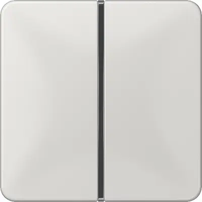 JUNG Enkele drukker Overig Grijs (CD 401 TSA LG)