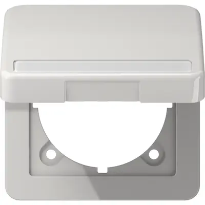 JUNG Afdekraam 1v Horizontaal en ve (CD 590 BFNAKL LG)