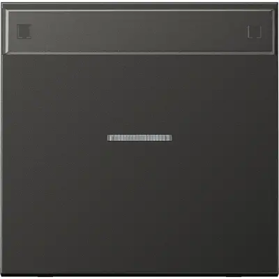 JUNG schakelwip met controlevenster en tekstvenster LS990 antraciet gelakt aluminium (AL 2990 NAKO5 AN)