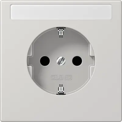 JUNG wandcontactdoos randaarde tekstvenster Safety+ LS990 lichtgrijs (LS 1520 NKINA LG)