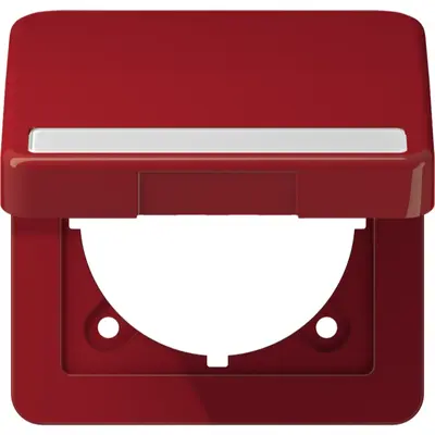 JUNG Afdekraam 1v Horizontaal en ve (CD 590 BFNAKL RT)