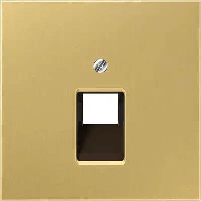 JUNG centraalplaat 1-voudig tbv RJ45 wandcontactdoos LS990 messing klassiek (ME 2969-1 UA C)
