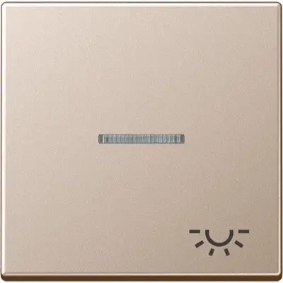 JUNG schakelwip met lichtsymbool en controlevenster A-range champagne (A 590 KO5 L CH)