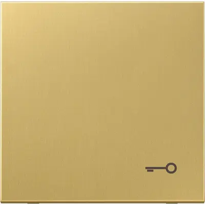 JUNG schakelwip met sleutelsymbool LS990 messing klassiek (ME 2990 T C)