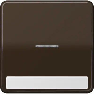 JUNG schakelwip met controlevenster en tekstvenster CD500 bruin (CD 590 NAKO5 BR)