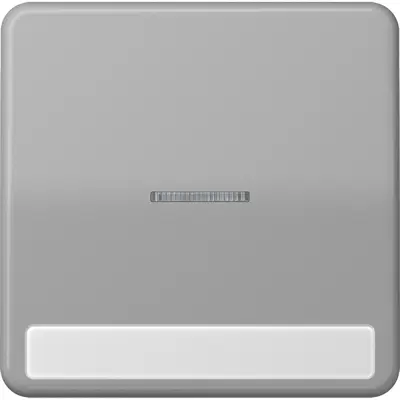 JUNG schakelwip met controlevenster en tekstvenster CD500 grijs (CD 590 NAKO5 GR)