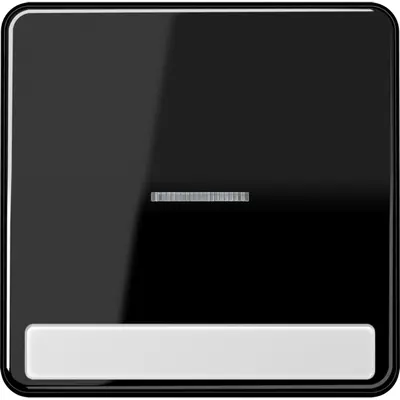 JUNG schakelwip met controlevenster en tekstvenster CD500 zwart glans (CD 590 NAKO5 SW)