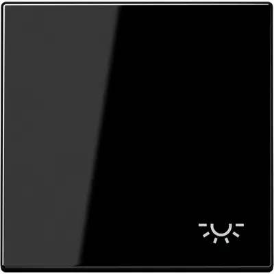 JUNG schakelwip met lichtsymbool LS990 zwart glans (LS 990 L SW)