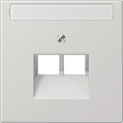 JUNG centraalplaat 2-voudig met tekstvenster tbv RJ45 wandcontactdoos LS990 lichtgrijs (LS 969-2 NAUA LG)