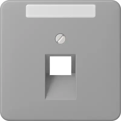 JUNG centraalplaat 1-voudig met tekstvenster tbv RJ45 wandcontactdoos CD500 grijs (CD 569-1 NAUA GR)