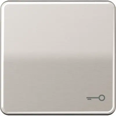 JUNG schakelwip met sleutelsymbool CD500 platina (CD 590 T PT)