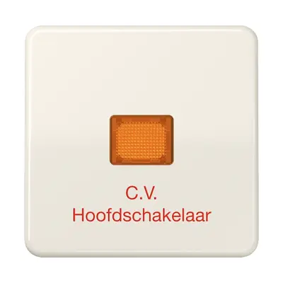 JUNG Enkele wip Aan-/uit-schakelaar (CD 590 BFCV)