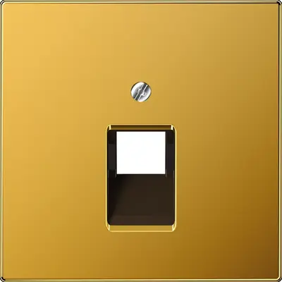 JUNG centraalplaat 1-voudig tbv RJ45 wandcontactdoos LS990 verguld (LS 969-1 UA GGO)