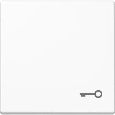 JUNG schakelwip met sleutelsymbool A-range alpine wit (A 590 T WW)
