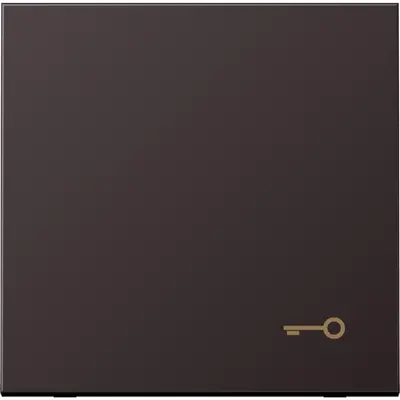 JUNG schakelwip met sleutelsymbool LS990 dark gelakt aluminium (AL 2990 T D)