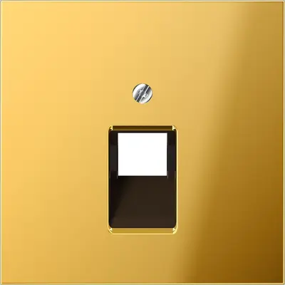 JUNG centraalplaat 1-voudig tbv RJ45 wandcontactdoos LS990 goudkleurig (GO 2969-1 UA)