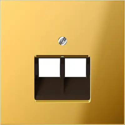 JUNG centraalplaat 2-voudig tbv RJ45 wandcontactdoos LS990 goudkleurig (GO 2969-2 UA)