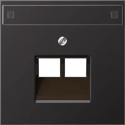 JUNG centraalplaat 2-voudig met tekstvenster tbv RJ45 wandcontactdoos LS990 dark gelakt aluminium (AL 2969-2 NAUA D)