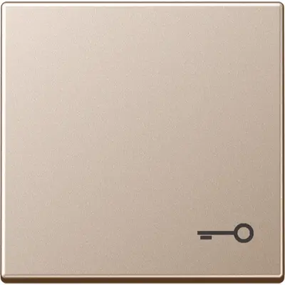 JUNG schakelwip met sleutelsymbool A-range champagne (A 590 T CH)