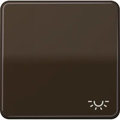 JUNG schakelwip met lichtsymbool CD500 bruin (CD 590 L BR)