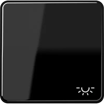 JUNG schakelwip met lichtsymbool CD500 zwart glans (CD 590 L SW)